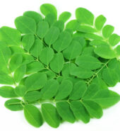 MORINGA OLEIFEARA