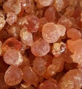 GUM ARABIC